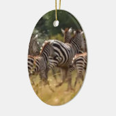 Zebra's in beweging: een reis van duizend mijl keramisch ornament (Links)