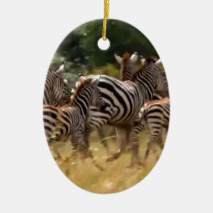 Zebra's in beweging: een reis van duizend mijl keramisch ornament