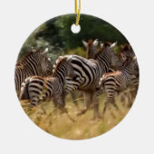 Zebra's in beweging: een reis van duizend mijl keramisch ornament (Voorkant)