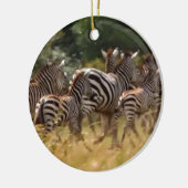 Zebra's in beweging: een reis van duizend mijl keramisch ornament (Links)