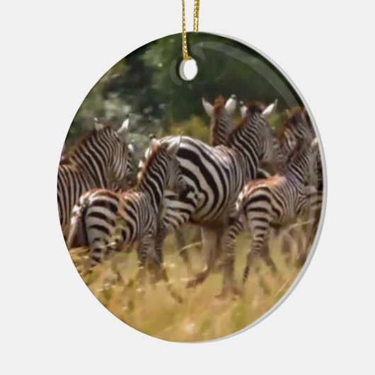 Zebra's in beweging: een reis van duizend mijl keramisch ornament (Links)