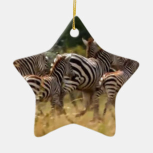 Zebra's in beweging: een reis van duizend mijl keramisch ornament