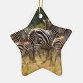 Zebra's in beweging: een reis van duizend mijl keramisch ornament (Links)