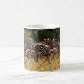 Zebra's in beweging: een reis van duizend mijl koffiemok (Center)