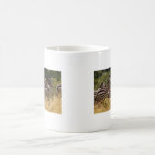 Zebra's in beweging: een reis van duizend mijl koffiemok (Center)