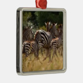 Zebra's in beweging: een reis van duizend mijl metalen ornament (Rechts)