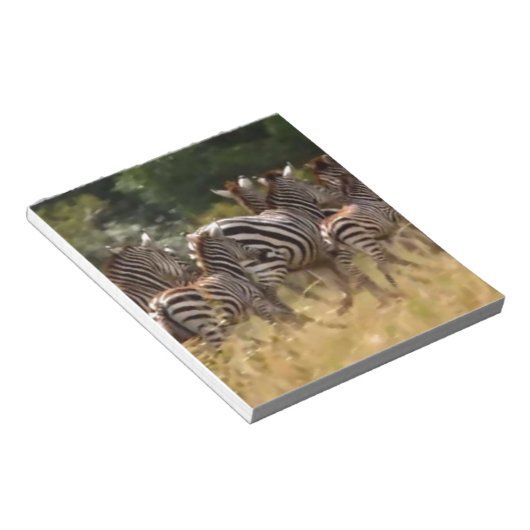 Zebra's in beweging: een reis van duizend mijl notitieblok (Schuin)