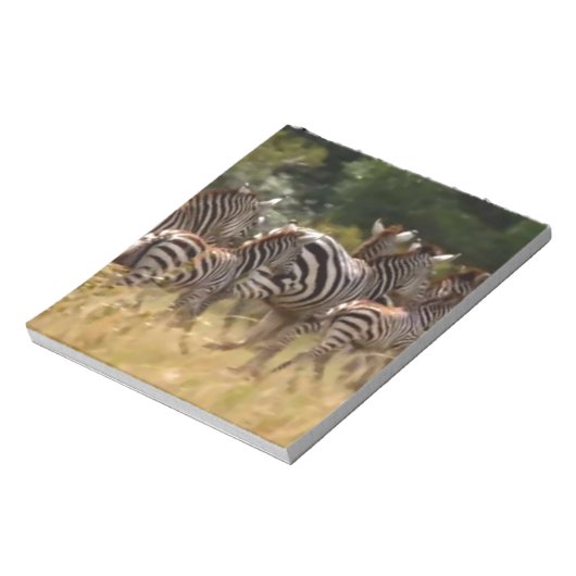 Zebra's in beweging: een reis van duizend mijl notitieblok (Linkerzijde)