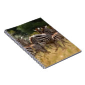 Zebra's in beweging: een reis van duizend mijl notitieboek (Rechterzijde)