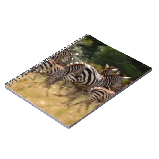 Zebra's in beweging: een reis van duizend mijl notitieboek (Linkerzijde)