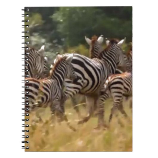 Zebra's in beweging: een reis van duizend mijl notitieboek (Voorkant)