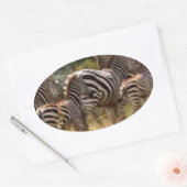 Zebra's in beweging: een reis van duizend mijl ovale sticker (Envelop)