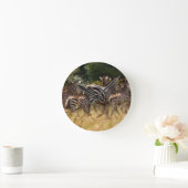 Zebra's in beweging: een reis van duizend mijl ronde klok (Huis)