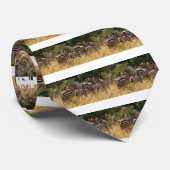 Zebra's in beweging: een reis van duizend mijl stropdas (Opgerold)