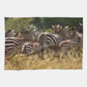 Zebra's in beweging: een reis van duizend mijl theedoek (Horizontaal)