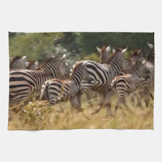 Zebra's in beweging: een reis van duizend mijl theedoek (Horizontaal)