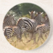 Zebra's in beweging: een reis van duizend mijl zandsteen onderzetter (Voorkant)