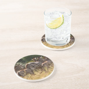 Zebra's in beweging: een reis van duizend mijl zandsteen onderzetter