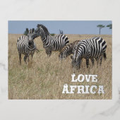 Zebra's in de Wild Folie Holiday Post Kaart (Voorkant)