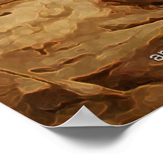 zebras in het amerikaans museum van de natuurlijke poster (Hoek)