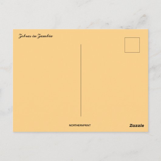 Zebras in het Briefkaart Zambia (Achterkant)