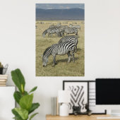 Zebras in het Poster Tanzania (Thuiskantoor)