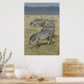 Zebras in het Poster Tanzania (Keuken)