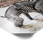 Zebras in het watergat foto afdruk (Hoek)
