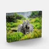 Zebras in het wild fotoblokken (Links)