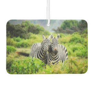 Zebra's in het wild luchtverfrisser