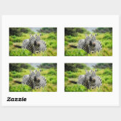 Zebras in het wild rechthoekige sticker (Vel)