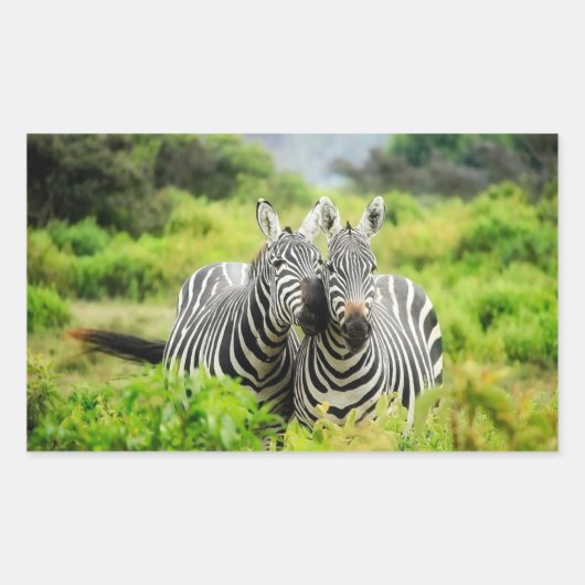 Zebras in het wild rechthoekige sticker (Voorkant)