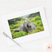 Zebras in het wild rechthoekige sticker (Envelop)