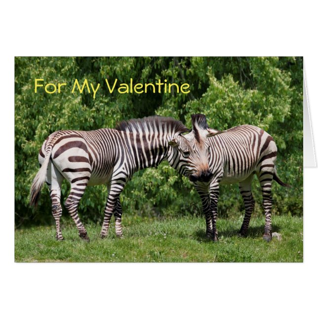 Zebras in Love Valentijns Kaart (Voorkant Horizontaal)