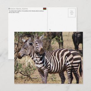 Zebra's in Masai Mara, Kenia Reisansichtkaart Briefkaart