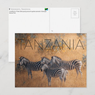 Zebra's in Serengeti, Tanzania Reisansichtkaart Briefkaart