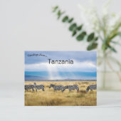 Zebras in Tanzania Briefkaart (Staand voorkant)