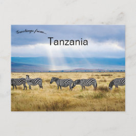 Zebras in Tanzania Briefkaart