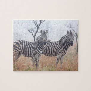 Zebras in vroeg-ochtendstof, Kruger National Legpuzzel