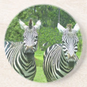 Zebra's in weide echoën zandsteen onderzetter (Voorkant)