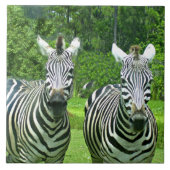 Zebra's in Weide Harmonie Tegeltje (Voorkant)