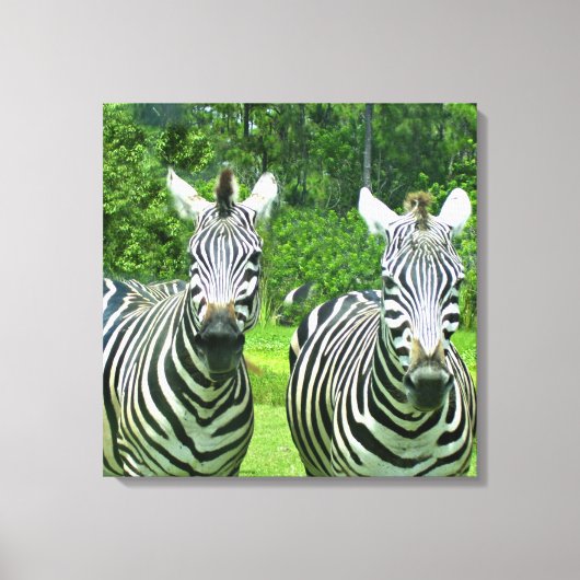Zebra's in weide stilte canvas afdruk (Voorkant)