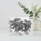 Zebras in Zwart-wit Briefkaart (Staand voorkant)