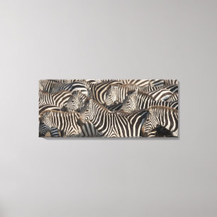 Zebras, Kenia, Afrika Canvas Afdruk