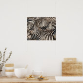 Zebras, Kenia, Afrika Poster (Keuken)