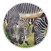 ZEBRAS KERAMISCHE KNOP (Voorkant)