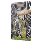 ZEBRAS KLEMBORD (Links)