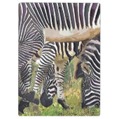 ZEBRAS KLEMBORD (Achterkant)