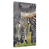 ZEBRAS KLEMBORD (Rechts)