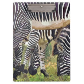 ZEBRAS KLEMBORD (Voorkant)